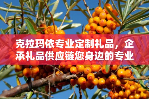 克拉玛依专业定制礼品，企承礼品供应链您身边的专业礼品定制公司